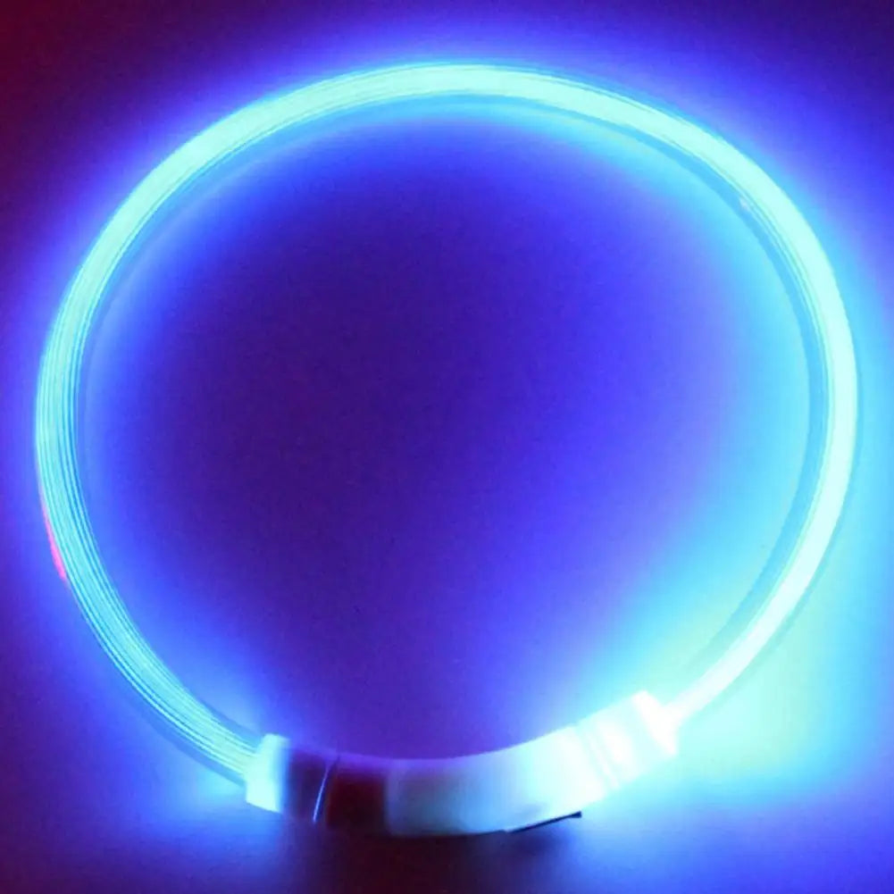 GlowSafe™ Collar Luminoso