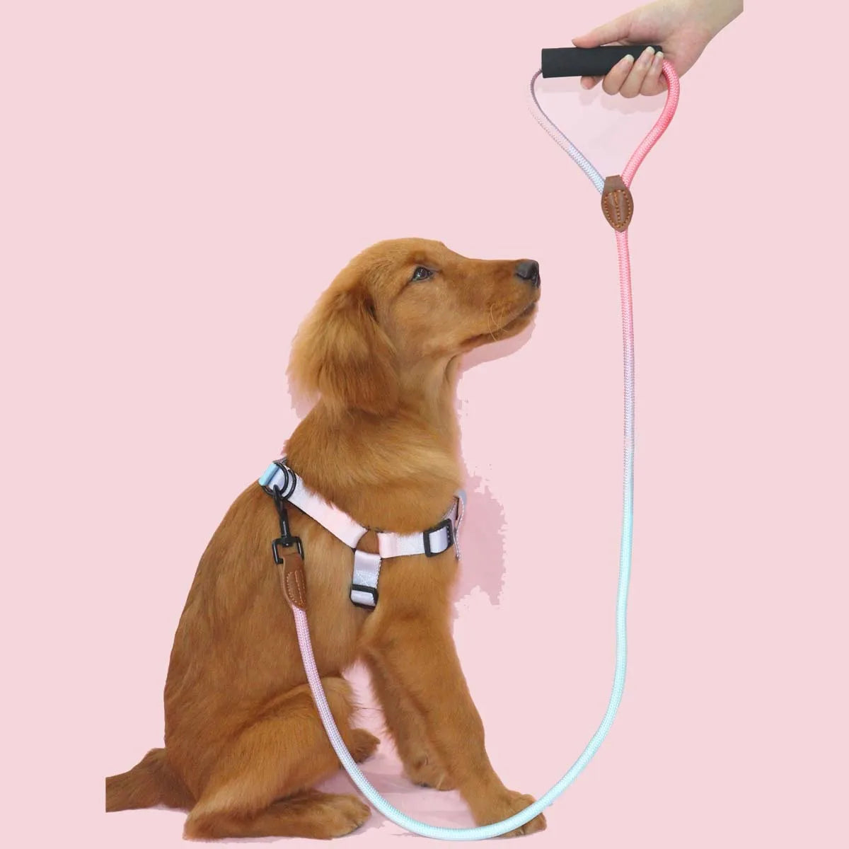 ComfortGrip™ Correa Acolchada Antideslizante