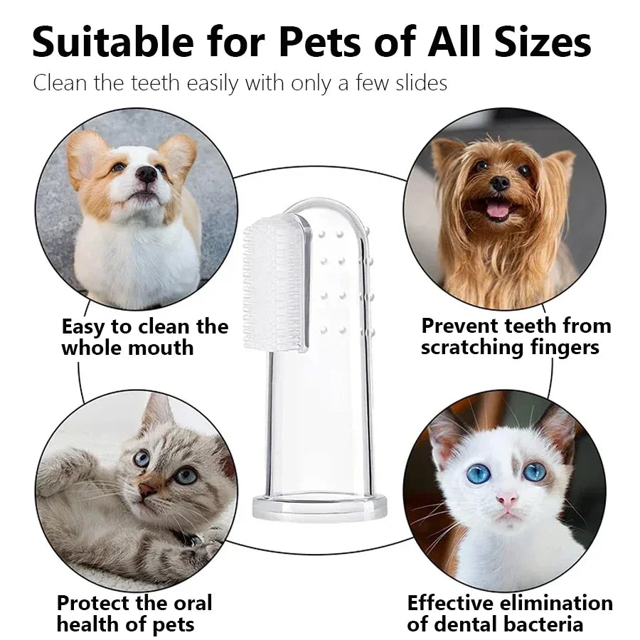 CleanPaw™ Kit Dental de Silicona
