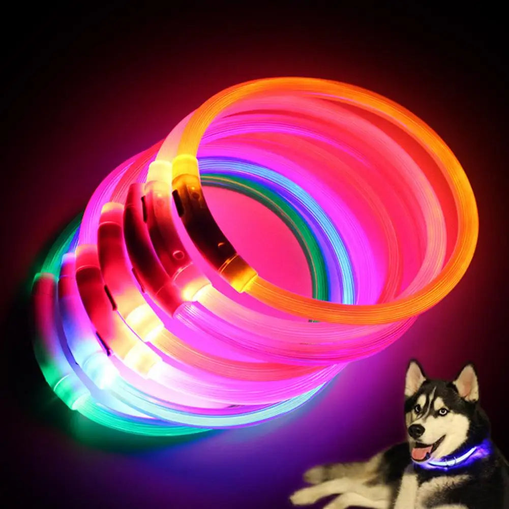 GlowSafe™ Collar Luminoso