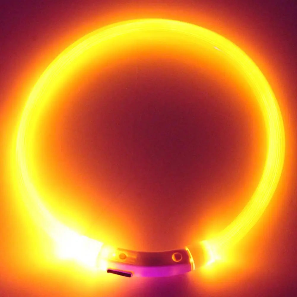 GlowSafe™ Collar Luminoso