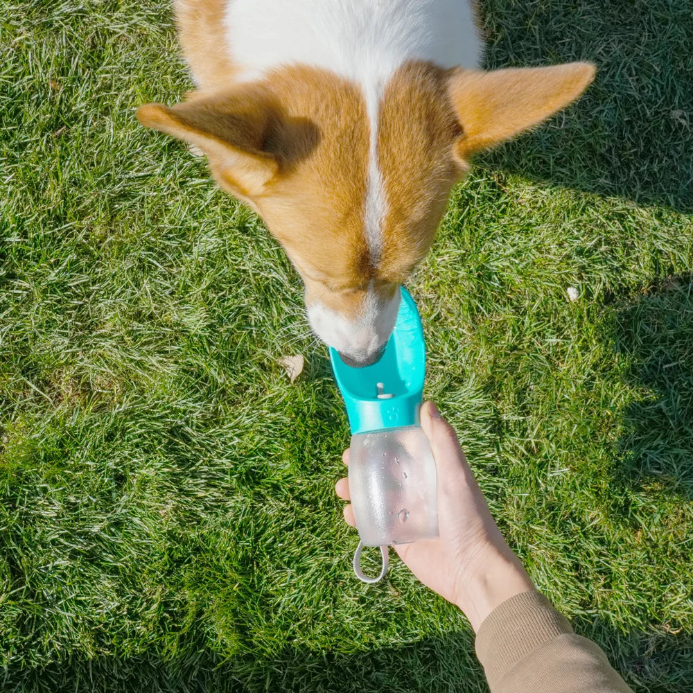 Bebedero Portátil para Perros y Gatos – 300 ml